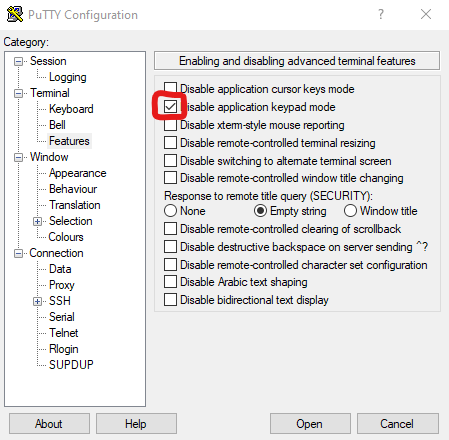 Reconfiguring PuTTy Sessions to Preserve Backspace Key